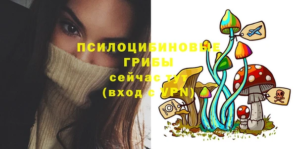 а пвп мука Арсеньев